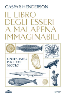 Il libro degli esseri a malapena immaginabili