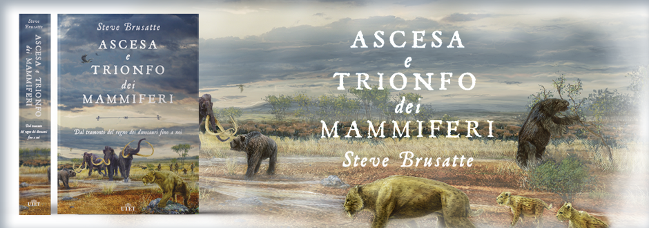 Ascesa e trionfo dei mammiferi